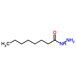 Octanehydrazide Structure