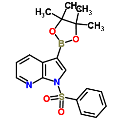 1-苯磺酰基-3-(4,4,5,5-四甲基-1,3,2-二氧硼烷)-1H-吡咯并[2,3-b]吡啶结构式