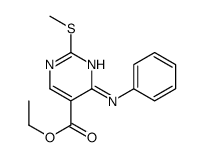 ETHYL 2-(METHYLTHIO)-4-(PHENYLAMINO)PYRIMIDINE-5-CARBOXYLATE结构式