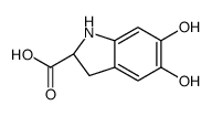 (2S)-5,6-dihydroxy-2,3-dihydro-1H-indole-2-carboxylic acid结构式