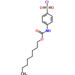 (4-CHLOROSULFONYL-PHENYL)-CARBAMIC ACID OCTYL ESTER Structure