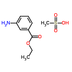 3-乙氧酰基苯胺甲磺酸盐结构式