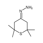 (2,2,6,6-tetramethylthian-4-ylidene)hydrazine结构式