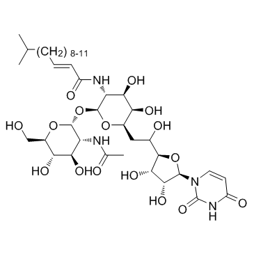 Tunicamycin Structure