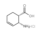 (1S,2R)-(-)-2-十六环氨基-3-烯羧酸盐酸盐结构式
