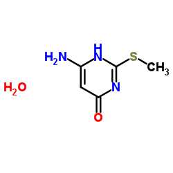 6-Amino-2-(methylsulfanyl)-4(1H)-pyrimidinone hydrate (1:1) Structure