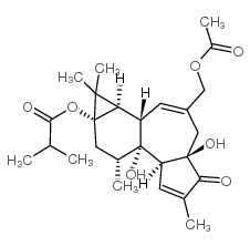 12-deoxyphorbol 13-isobutyrate 20-acetate Structure