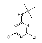 2-(叔丁基氨基)-4,6-二氯-1,3,5-三嗪结构式