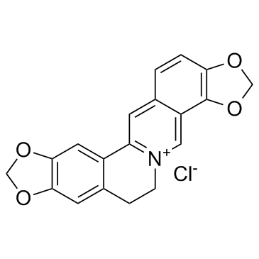 Coptisine chloride Structure