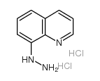 8-hydrazinoquinoline Structure