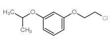 1-(2-chloroethoxy)-3-propan-2-yloxybenzene结构式