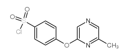 4-[(6-甲基吡嗪-2-基)氧基]苯磺酰氯结构式