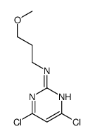 4,6-dichloro-N-(3-methoxypropyl)pyrimidin-2-amine结构式