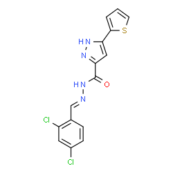 (E)-N-(2,4-dichlorobenzylidene)-3-(thiophen-2-yl)-1H-pyrazole-5-carbohydrazide结构式