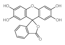 Spiro[isobenzofuran-1(3H),9'-[9H]xanthen]-3-one,2',3',6',7'-tetrahydroxy-结构式