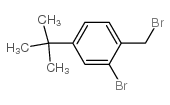2-溴-1-(溴甲基)-4-叔丁基苯结构式