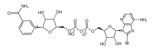 8-bromo-β-nicotinamide adenine dinucleotide Structure