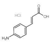 4-AMINOCINNAMIC ACID HYDROCHLORIDE Structure