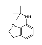 N-tert-butyl-2,3-dihydro-1-benzofuran-7-amine结构式