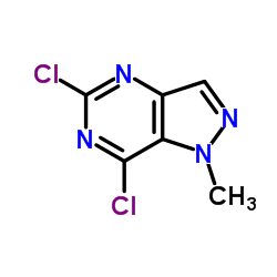 5,7-二氯-1-甲基-1H-吡唑并[4,3-d]嘧啶结构式