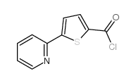 5-(2-吡啶基)-2-噻吩羰酰氯结构式