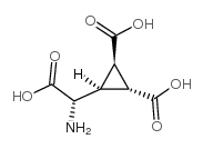 (2S,2R,3R)-2-(2,3-二甲基环丙基)甘氨酸结构式