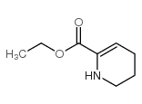 2-Pyridinecarboxylicacid,1,4,5,6-tetrahydro-,ethylester(9CI)结构式