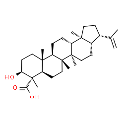 (4S)-3β-Hydroxy-A'-neogammacer-22(29)-en-23-oic acid Structure
