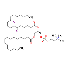 1-棕榈酰基-2-(6,7-二溴)硬脂酰基-sn-甘油-3-磷酸胆碱图片