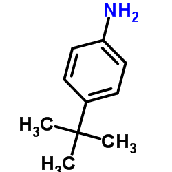 4-叔丁基苯胺结构式