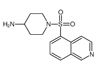 1-isoquinolin-5-ylsulfonylpiperidin-4-amine结构式