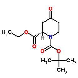 (S)-2-乙基4-氧代哌啶-1,2-二甲酸1-叔丁酯结构式