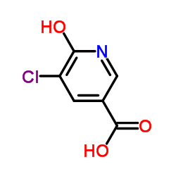 5-Chloro-6-hydroxynicotinic acid Structure