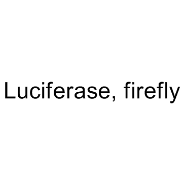 Luciferase, firefly Structure