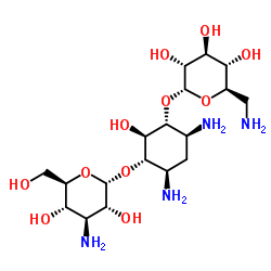Kanamycin Structure