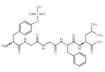 亮氨酰-脑啡肽硫酸酯结构式