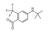 N-tert-butyl-4-nitro-3-(trifluoromethyl)aniline Structure