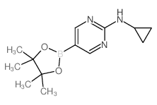 N-环丙基-5-(4,4,5,5-四甲基-1,3,2-二氧硼杂环戊烷-2-基)嘧啶-2-胺结构式
