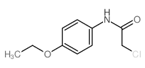 Acetamide,2-chloro-N-(4-ethoxyphenyl)- Structure