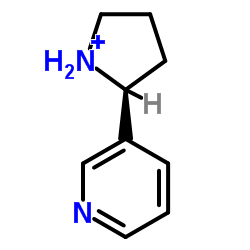 (±)-Nornicotine structure