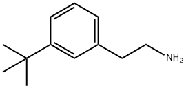 2-(3-tert-butylphenyl)ethan-1-amine Structure