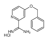 4-phenylmethoxypyridine-2-carboximidamide,hydrochloride Structure