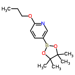 2-丙氧基-5-吡啶硼酸酯结构式