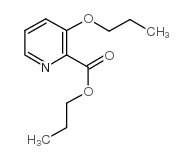 3-N-PROPOXYPICOLINIC ACID N-PROPYL ESTER picture