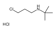 N-(3-chloropropyl)-2-methylpropan-2-amine,hydrochloride结构式