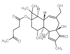 12-脱氧佛波醇 13-当归酸酯结构式