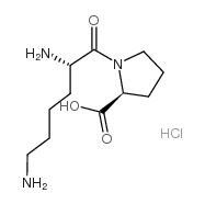 H-Lys-Pro-OH hydrochloride salt结构式