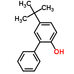 4-叔-丁基-2-苯基苯酚结构式