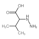 2-hydrazinyl-3-methyl-butanoic acid structure