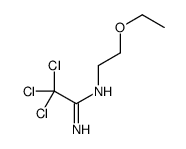 2,2,2-trichloro-N'-(2-ethoxyethyl)ethanimidamide结构式